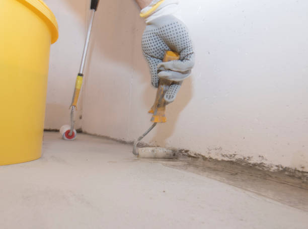 Best Pest Control for Hotels  in Window Rock, AZ